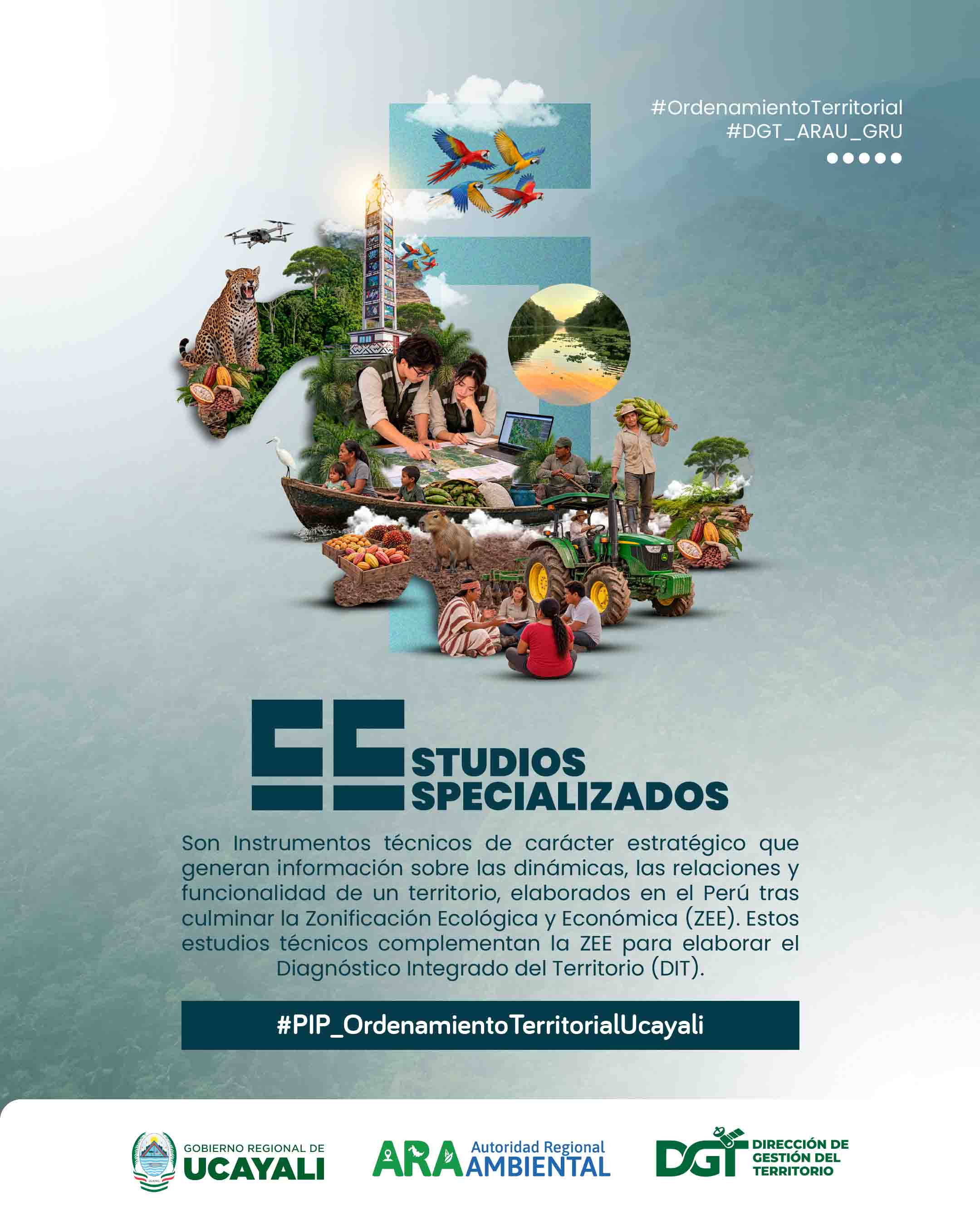 ¿Sabías que los Estudios...